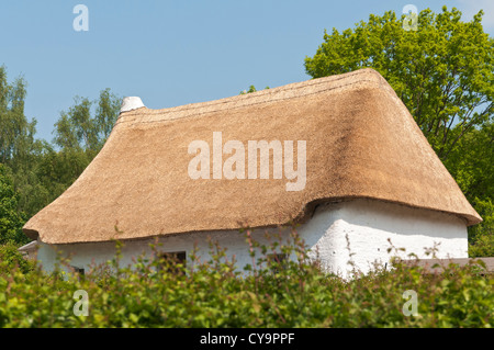 Wales, St. Fagans National History Museum, Reetdach-Bauernhaus Stockfoto