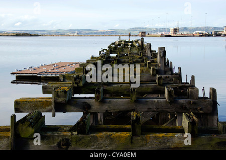 Die alte hölzerne Pier im Westhafen, Leith Docks, Edinburgh, Schottland. Stockfoto