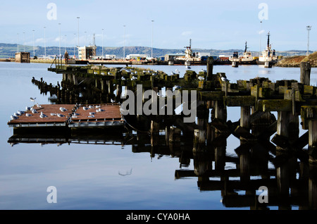 Die alte hölzerne Pier im Westhafen, Leith Docks, Edinburgh, Schottland. Stockfoto