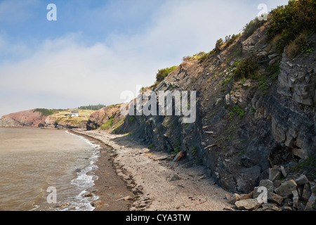 Welt berühmten fossilen Klippen auf der Bay Of Fundy in Joggins, Nova Scotia, Kanada. Ein UNESCO-Weltkulturerbe. Stockfoto