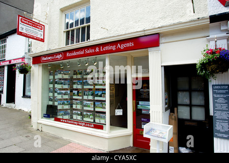 Hackney & Leigh, die professionelle Immobilienmakler, Gutachter, Auktionatoren & Schätzer, mit Niederlassungen in Kendal, Windermere Stockfoto