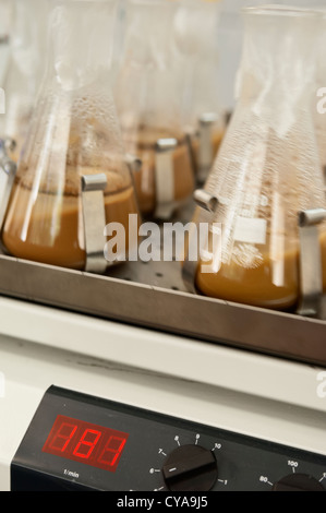 Wirklichen Leben Detail einer chemischen Labor-Umgebung Stockfoto