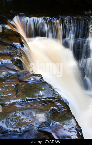 Wasserfall in Whitfield Gill in der Nähe von Askrigg Wensleydale North Yorkshire England Stockfoto