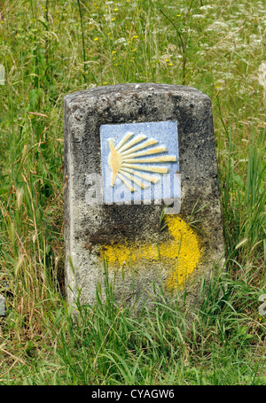 Jakobsmuschel Muschel Symbol markieren den Pilgerweg nach Santiago De Compostela. Herrerias, León, Galicien, Spanien Stockfoto