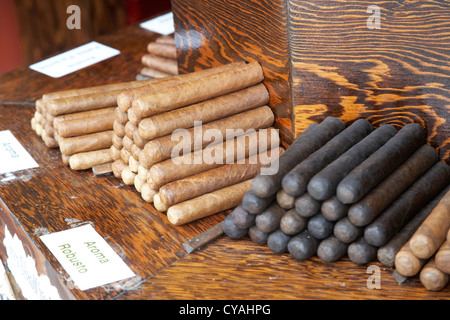 kubanischen Stil Zigarren auf Verkauf in einem Geschäft in Key West Florida usa Stockfoto