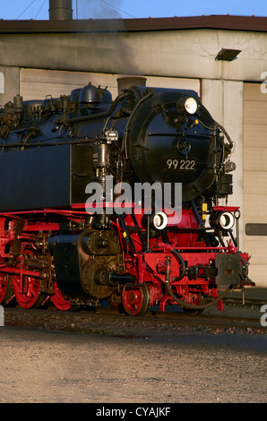 Harzer Schmalspurbahnen Erbe Dampfzüge in Wernigerode vergossen (Depot). Motoren sind oder haben nur gewartet. Stockfoto