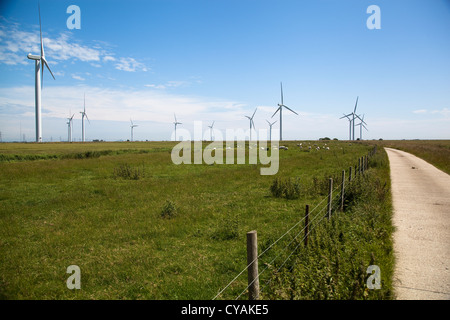 Onshore-Windpark in Rye, East Sussex Stockfoto