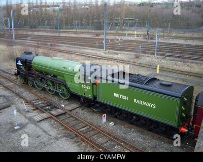 Die Dampflokomotive 60163 Tornado trifft auf Tyne Yard ein, um zwischen den Fahrten der Tyne Tornado-Zugfahrt zu warten. Zu diesem Zeitpunkt fährt die Lokomotive rückwärts, unterstützt von Diesellokomotiven vom Newcastle Central Station. Stockfoto