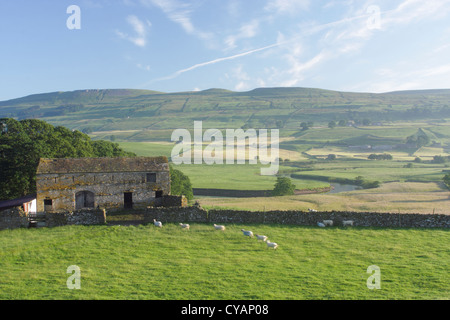 Scheune, Trockenmauern und Fluß Ure, Burtersett, in der Nähe von Hawes, Wensleydale, Yorkshire Dales, England, Juli Stockfoto