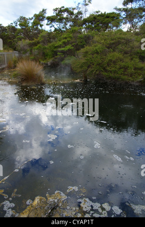 Thermalbecken im Tokaanu, Turangi, Neuseeland Stockfoto