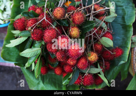 Rambutan Früchte Haufen auf dem Obstmarkt in Asien zu verkaufen Stockfoto