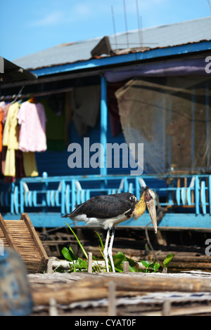 Storch, waten im schwimmenden Dorf Inle-See, Myanmar Stockfoto