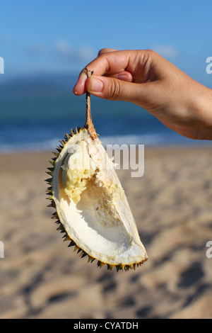 Durian Frucht Stück, frisches Essen am Strand in Thailand Stockfoto