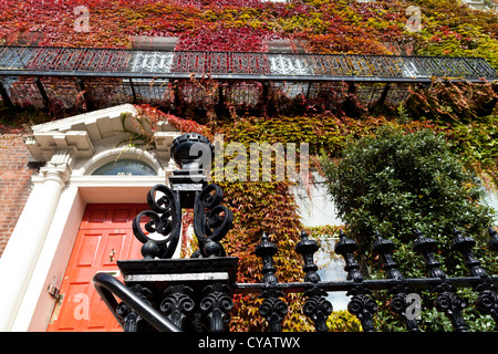 Efeu bedeckt Georgian House am St. Stephens Green in Dublin Irland Stockfoto