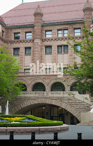 MUSEUM OF NATURAL HISTORY IN NEW YORK CITY NEW YORK Stockfoto