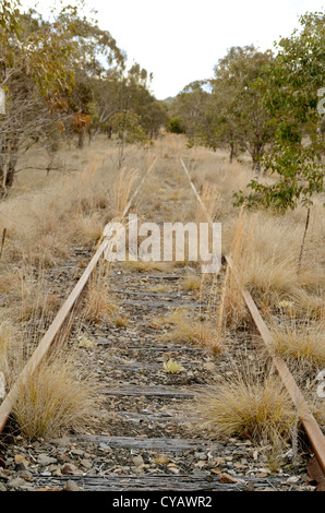 Unkraut und Rasen wachsen auf einem verlassenen Eisenbahnlinie in der Nähe von Tenterfield Australien Stockfoto