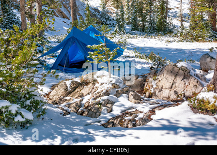 Idaho Wald im Winter mit einem blauen Zelt Stockfoto