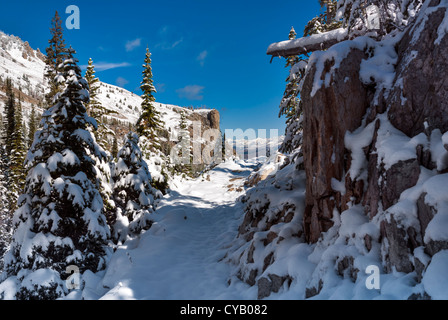 Schneebedeckten Pfad windet sich durch die Berge von Idaho Stockfoto