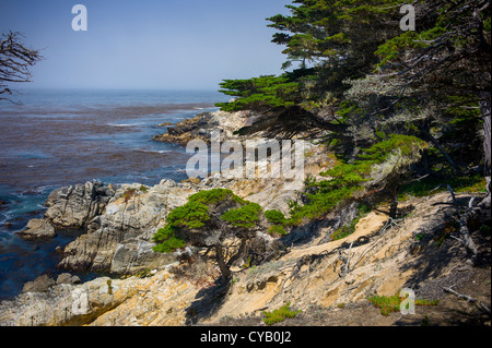 PAZIFISCHEN OZEAN GESEHEN VOM 17-MILE DRIVE PEBBLE BEACH KALIFORNIEN Stockfoto