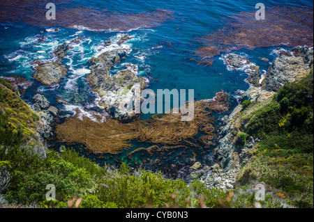 PAZIFISCHEN OZEAN VON JULIA PFEIFFER BURNS STATE PARK IN KALIFORNIEN GESEHEN Stockfoto