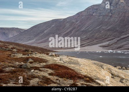 FREDERIKSDAL NATIONALPARK GRÖNLAND Stockfoto