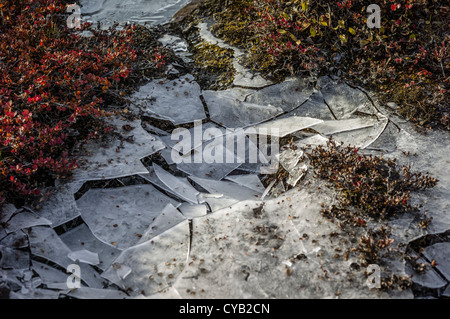 FREDERIKSDAL NATIONALPARK GRÖNLAND Stockfoto