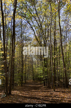 EQUINOX PRESERVATION TRUST MANCHESTER VERMONT Stockfoto