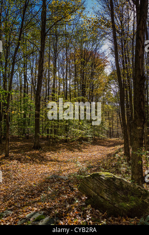 EQUINOX PRESERVATION TRUST MANCHESTER VERMONT Stockfoto