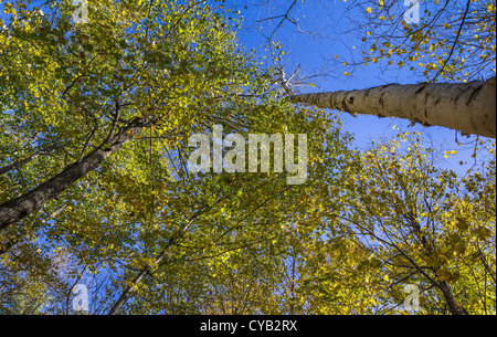 EQUINOX PRESERVATION TRUST MANCHESTER VERMONT Stockfoto
