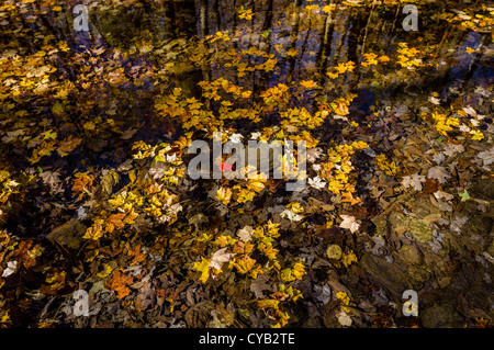 EQUINOX PRESERVATION TRUST MANCHESTER VERMONT Stockfoto