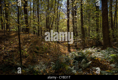 EQUINOX PRESERVATION TRUST MANCHESTER VERMONT Stockfoto