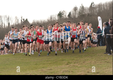 Südlich von England Cross Country Championships Stanmer Park 2012 Prüfungen und Rennen für nationale Auswahl Stockfoto