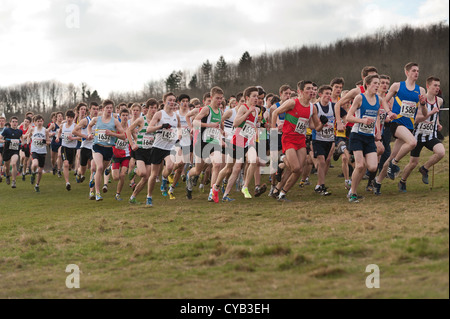 Südlich von England Cross Country Championships Stanmer Park 2012 Prüfungen und Rennen für nationale Auswahl Stockfoto