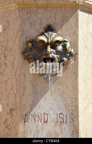 Wasserspeier an einen Trinkbrunnen schließen Detail, Venedig, Veneto, Italien, UNESCO Stockfoto