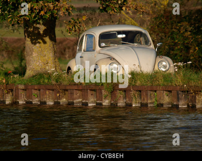 Klassische VW-Käfer parkte unter einem Baum neben einem Kanal, UK Stockfoto