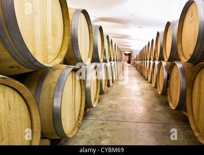 Reihen von Weinfässer im Keller. Stockfoto
