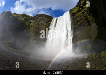 Skogafoss Wasserfall mit Regenbogen im Sommer Sonnenschein, Südküste, Island Stockfoto