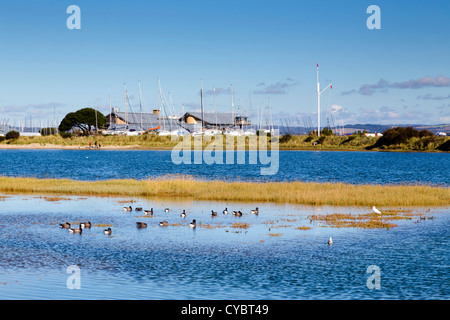 Sandy Point; Hayling Island; Hampshire; VEREINIGTES KÖNIGREICH; Stockfoto