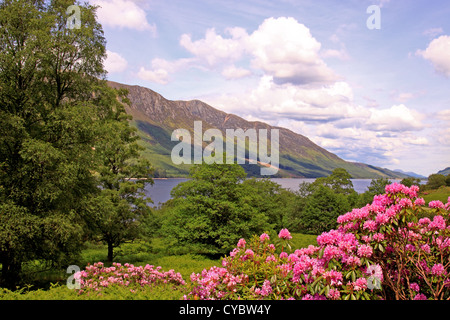 UK Schottland Highland Inverness-Shire Loch Lochy im Frühjahr Stockfoto