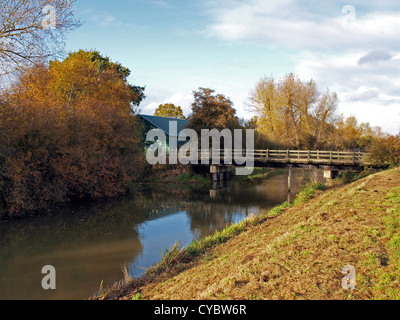 Herbstliche Bäume und Deich im Naturschutzgebiet Woodwalton Fen. Stockfoto