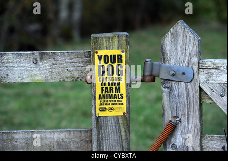 Landbau Zeichen auf Tore Achtung Hundebesitzer zu kümmern und ihre Tiere in den Lake District-UK Stockfoto