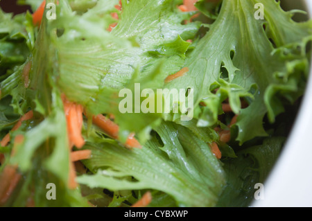 Salat und Karotten Stockfoto