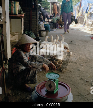 Traditioneller Markt Straßenszene in Hoi An in Vietnam in Fernost Südostasien. Menschen Reportage Bildjournalismus leben Lebensstil Wanderlust Travel Stockfoto