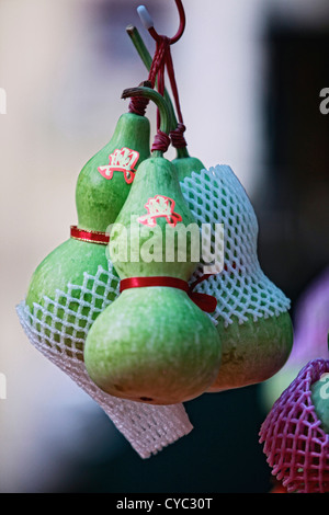 Grüne Kürbisse in einer Reihe hängen. Stockfoto