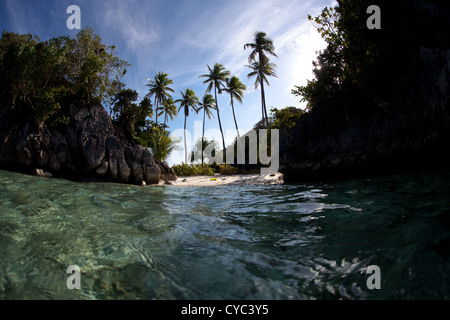 Kokospalmen säumen einen kleinen Strand in der Nähe von einem vielfältigen Korallenriff. Misool, Raja Ampat, Papua, Indonesien, Pazifischen Ozean. Stockfoto