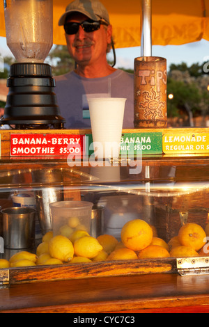 Anbieter verkaufen frisches Obst Getränke geschabte am Mallory Square Key West Florida usa Stockfoto