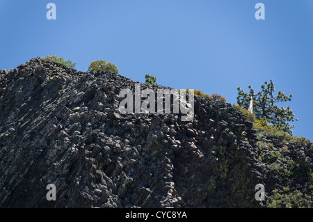 Sonora Pass, Sierra Nevada, Kalifornien - Spalten der Riesen trail mit Rundwanderungen, Fluss und Basalt Säulen, Stockfoto