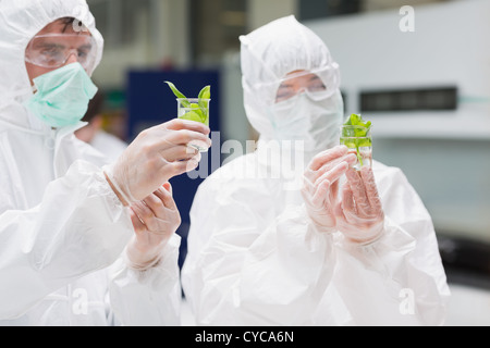 Studenten in Schutzanzüge Blick auf Pflanzen im Becher Stockfoto