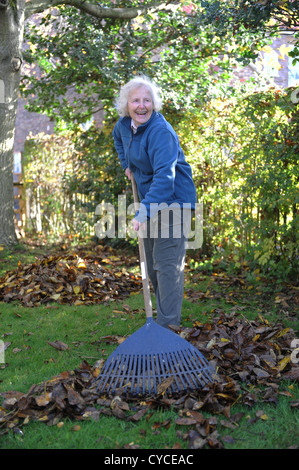 76 jährige weibliche Rentner clearing Herbstlaub in ihrem Garten in North Yorkshire, England. Stockfoto