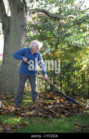 76 jährige weibliche Rentner clearing Herbstlaub in ihrem Garten in North Yorkshire, England. Stockfoto